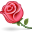 :rose